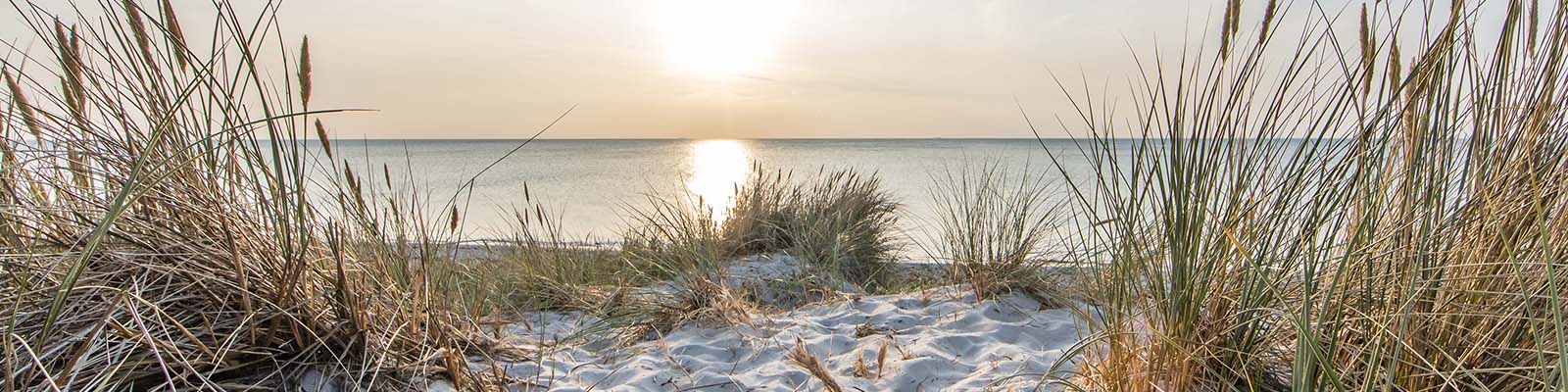 header_umgebung_220204544